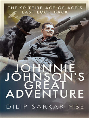 cover image of Johnnie Johnson's Great Adventure